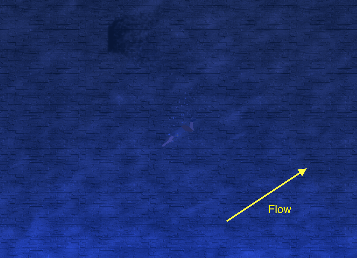 Swimming against flow